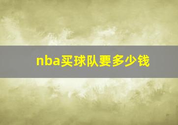 nba买球队要多少钱