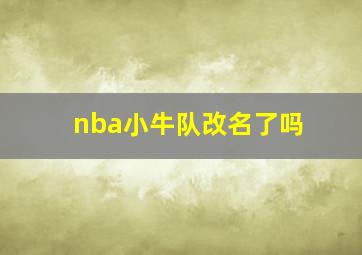 nba小牛队改名了吗