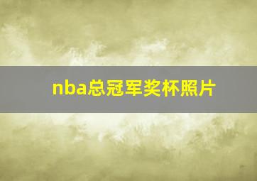 nba总冠军奖杯照片