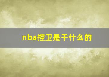 nba控卫是干什么的