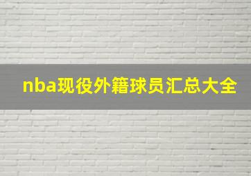 nba现役外籍球员汇总大全