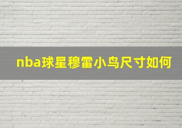 nba球星穆雷小鸟尺寸如何