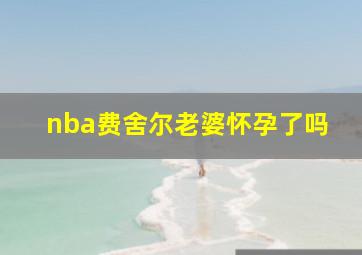 nba费舍尔老婆怀孕了吗