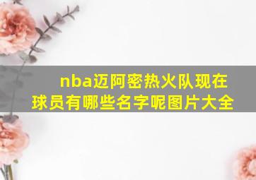 nba迈阿密热火队现在球员有哪些名字呢图片大全