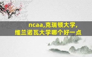 ncaa,克瑞顿大学,维兰诺瓦大学哪个好一点