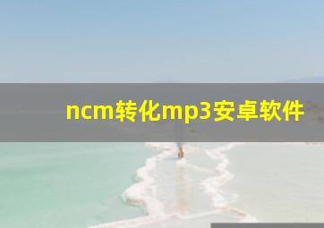 ncm转化mp3安卓软件