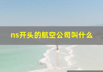 ns开头的航空公司叫什么