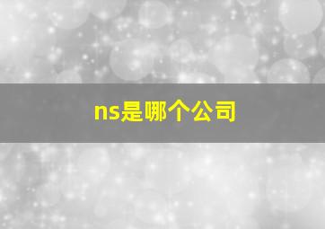 ns是哪个公司