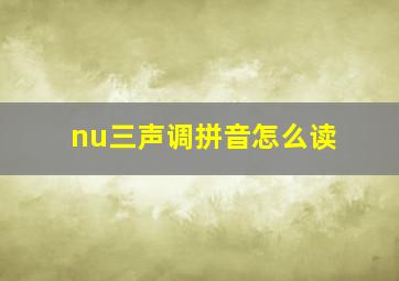 nu三声调拼音怎么读