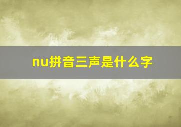 nu拼音三声是什么字