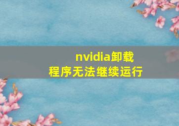 nvidia卸载程序无法继续运行