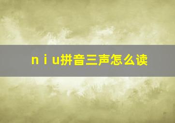 nⅰu拼音三声怎么读