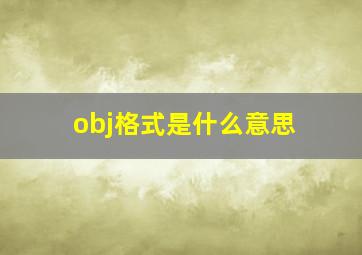 obj格式是什么意思