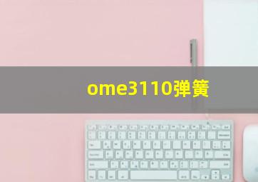 ome3110弹簧