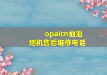 opaicn抽油烟机售后维修电话