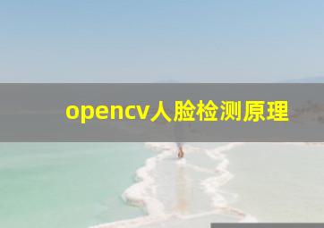 opencv人脸检测原理