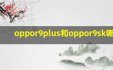 oppor9plus和oppor9sk哪个好