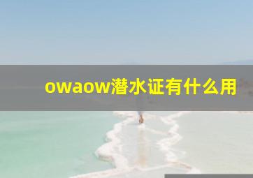 owaow潜水证有什么用