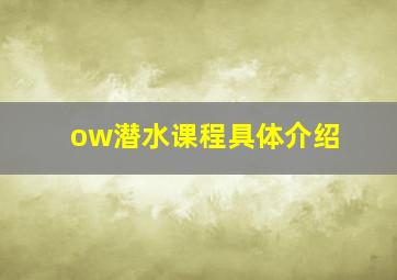 ow潜水课程具体介绍