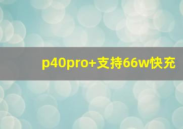 p40pro+支持66w快充