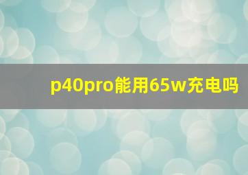 p40pro能用65w充电吗