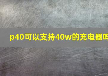 p40可以支持40w的充电器吗