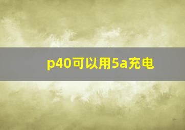 p40可以用5a充电