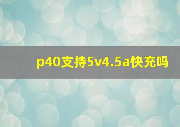 p40支持5v4.5a快充吗