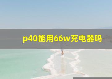 p40能用66w充电器吗