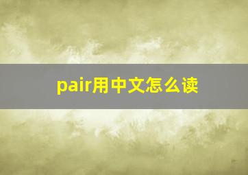 pair用中文怎么读