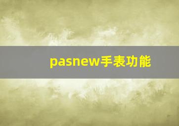 pasnew手表功能