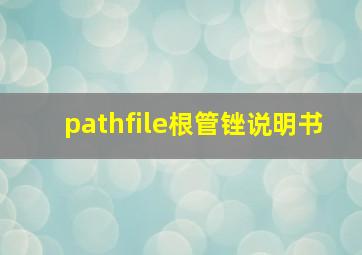 pathfile根管锉说明书