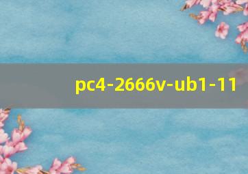 pc4-2666v-ub1-11