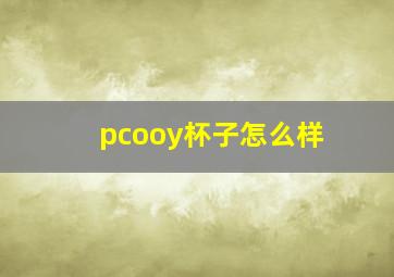 pcooy杯子怎么样