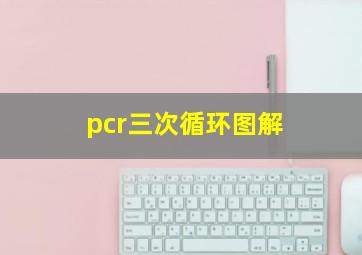 pcr三次循环图解