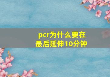 pcr为什么要在最后延伸10分钟