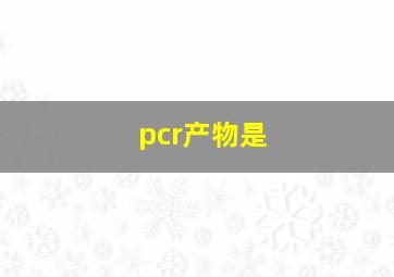 pcr产物是