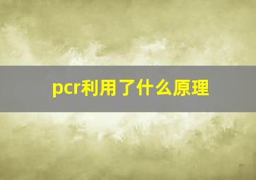 pcr利用了什么原理