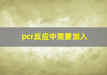 pcr反应中需要加入