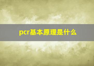 pcr基本原理是什么