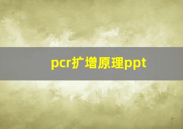 pcr扩增原理ppt