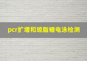 pcr扩增和琼脂糖电泳检测