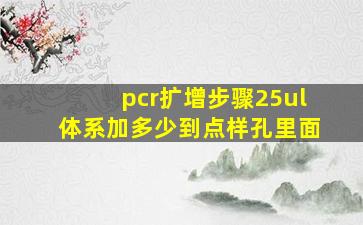 pcr扩增步骤25ul体系加多少到点样孔里面