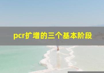 pcr扩增的三个基本阶段