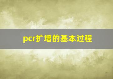 pcr扩增的基本过程