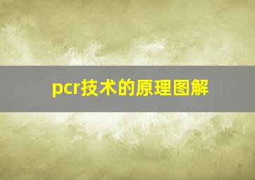 pcr技术的原理图解