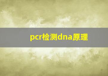 pcr检测dna原理