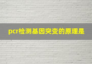 pcr检测基因突变的原理是