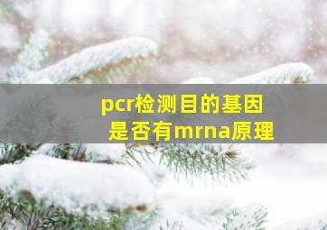 pcr检测目的基因是否有mrna原理