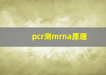 pcr测mrna原理